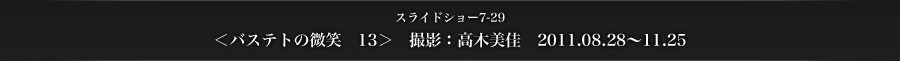 スライドショー7-29　＜バステトの微笑　13＞　撮影：高木美佳　2011.08.28～11.25