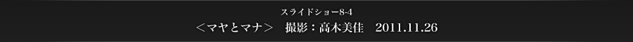 スライドショー8-4　＜マヤとマナ＞　撮影：高木美佳　2011.11.26