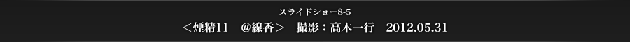 スライドショー8-5　＜煙精11　＠線香＞　撮影：高木一行　2012.05.31