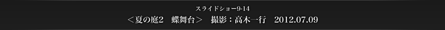 スライドショー9-14　＜夏の庭2　蝶舞台＞　撮影：高木一行　2012.07.09