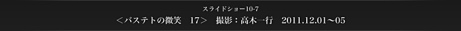 スライドショー10-7　＜バステトの微笑　17＞　撮影：高木一行　2011.12.01～05