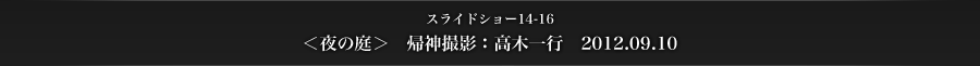 スライドショー14-16　＜夜の庭＞　帰神撮影：高木一行　2012.09.10