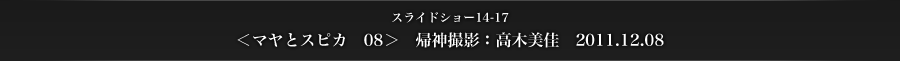 スライドショー14-17　＜マヤとスピカ　08＞　帰神撮影：高木美佳　2012.11.08