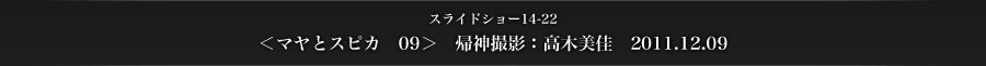 スライドショー14-22　＜マヤとスピカ　09＞　帰神撮影：高木美佳　2011.12.09
