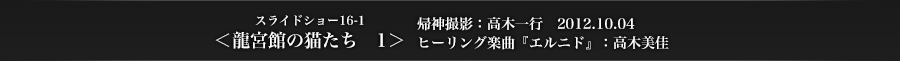 スライドショー16-1　＜龍宮館の猫たち＞　帰神撮影：高木一行　2012.10.04