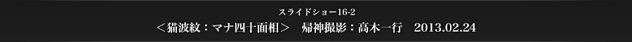 スライドショー16-2　＜猫波紋：マナ四十面相＞　帰神撮影：高木一行　2013.02.24