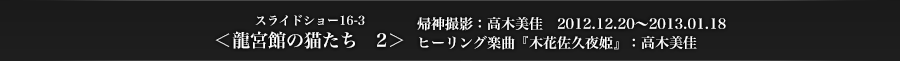 スライドショー16-3　＜龍宮館の猫たち2＞　帰神撮影：高木美佳　2012.12.20～2013.01.18　ヒーリング楽曲：高木美佳