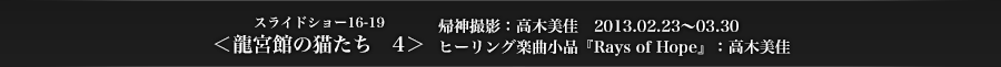 ＜龍宮館の猫たち4＞　帰神撮影：高木美佳　2013.02.23～03.30　ヒーリング楽曲：高木美佳