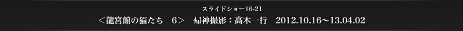 スライドショー16-21　＜龍宮館の猫たち　6＞　帰神撮影：高木一行　2012.10.16〜2013.04.02