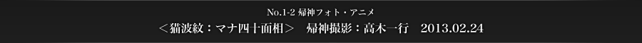 No.1-2　帰神フォト・アニメ　＜猫波紋：マナ四十面相＞　帰神撮影：高木一行　2013.02.24