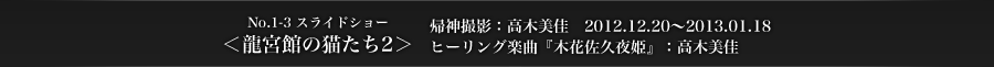 No.1-3　スライドショー　＜龍宮館の猫たち2＞　帰神撮影：高木美佳　2012.12.20～2013.01.18　ヒーリング楽曲：高木美佳