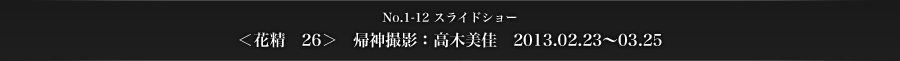 No.1-12　スライドショー　＜花精　26＞　帰神撮影：高木美佳　2013.02.23～03.25