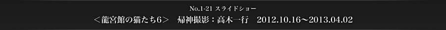 ＜龍宮館の猫たち6＞　帰神撮影：高木一行　2012.10.16〜2013.04.02