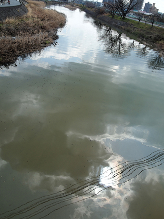 八幡川（Yahata River）